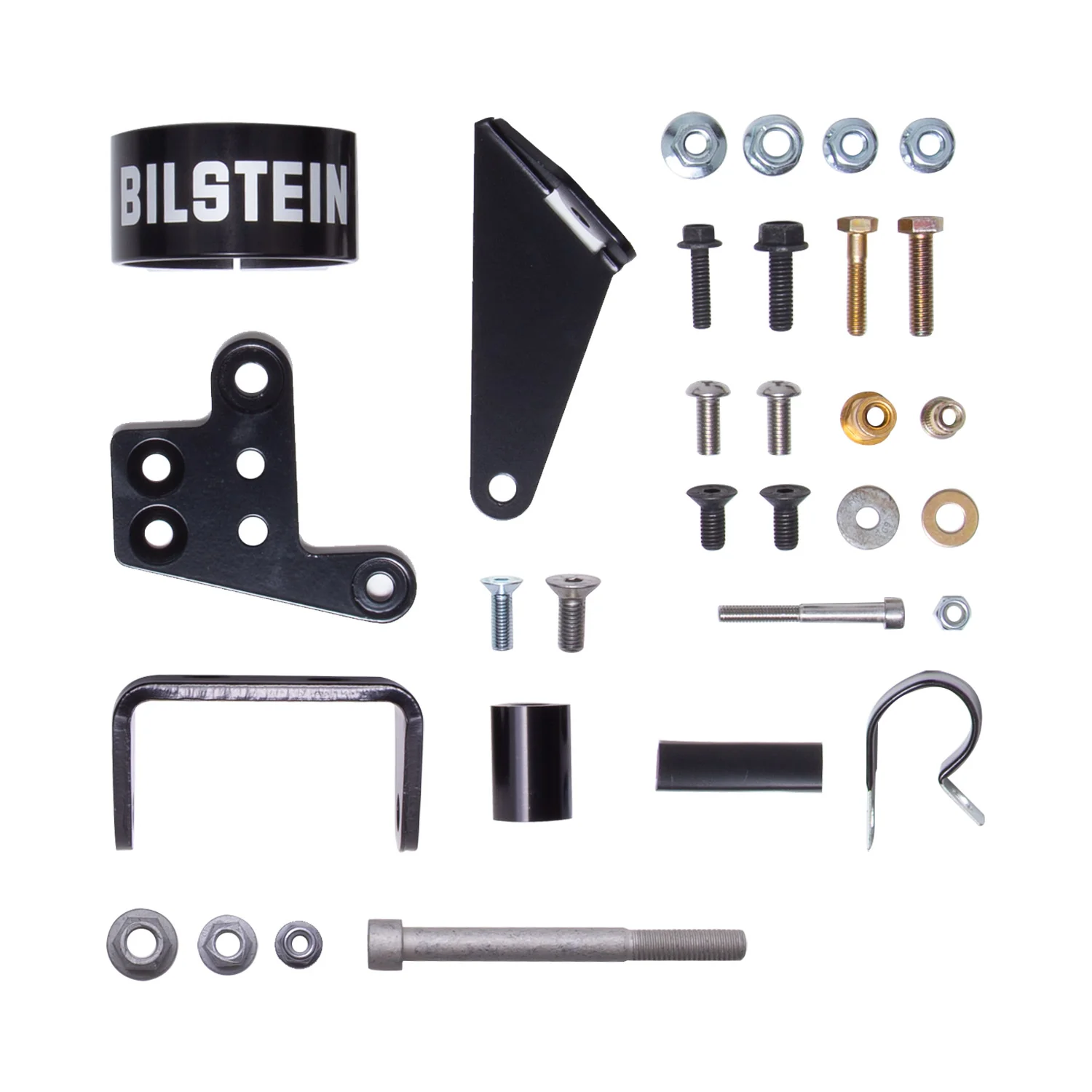Bilstein - B8 8100 (DSA) - Suspension Shock Absorber - Image 2